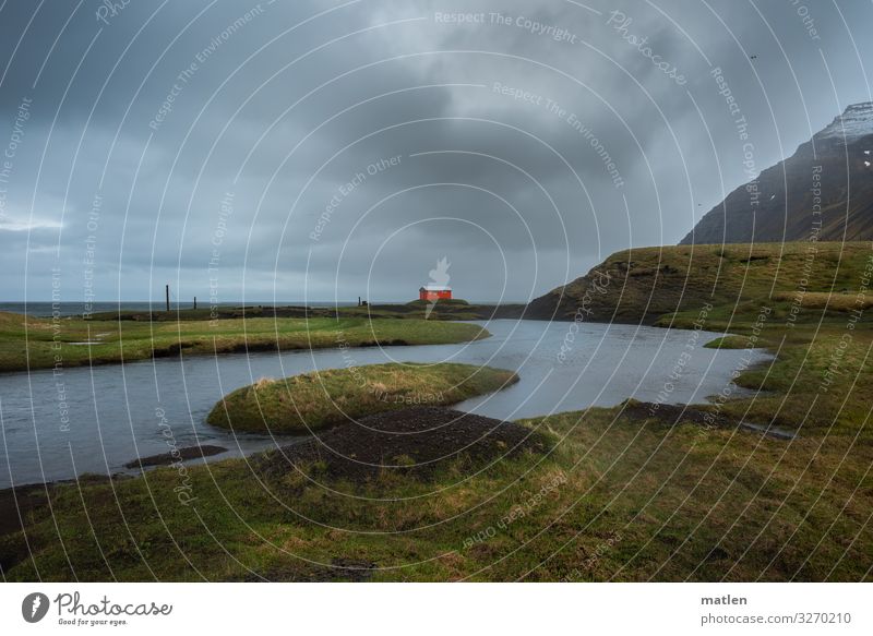 Minnibakki Nature Landscape Plant Sky Storm clouds Horizon Spring Bad weather Gale Grass Rock Mountain Snowcapped peak Coast River bank Beach Bay Ocean Island