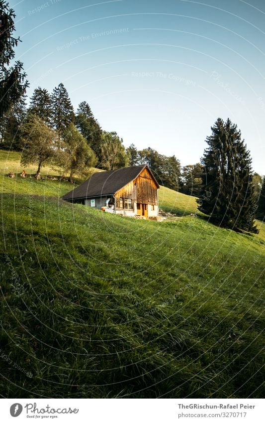 Swiss - Chalet Nature Esthetic House (Residential Structure) Hut Alps Switzerland Home country mayfield Heidi Village Canton Graubünden alphabet Tree Light