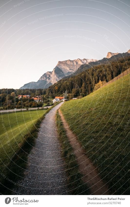 NR 1000 Nature Landscape Green Switzerland Lanes & trails Travel photography House (Residential Structure) Mountain mayfield Heidi Village Grass Walking Future