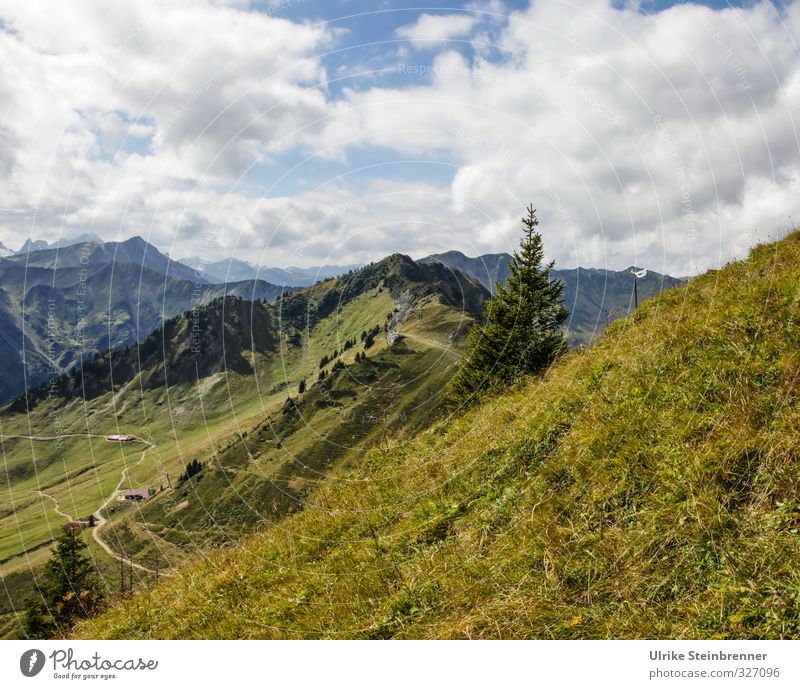 View from Walmendingerhorn 2 Vacation & Travel Tourism Freedom Mountain Nature Landscape Sky Clouds Autumn Beautiful weather Tree Grass Bushes Alps Allgäu Alps