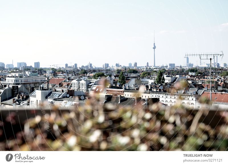 farsighted | over the roofs of Berlin 1 Berlin TV Tower Capital city Downtown House (Residential Structure) High-rise Terrace Roof Antenna Tourist Attraction