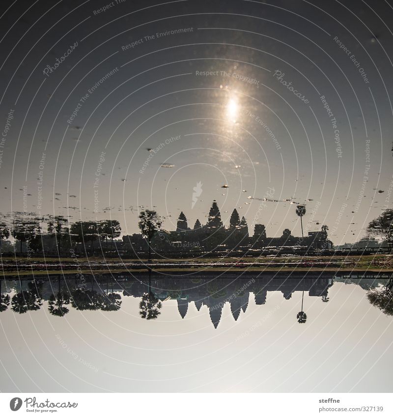 Plant with one hundred thousand Wat Sunrise Sunset Beautiful weather Palm tree Pond Angkor Wat Cambodia Asia South East Asia Deserted Tourist Attraction