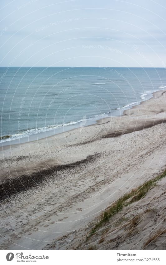 View down to STrand and North Sea (2) duene Beach Sand Water Waves stones Horizon Blue Marram grass Denmark Tracks Sky Deserted coast Vacation & Travel