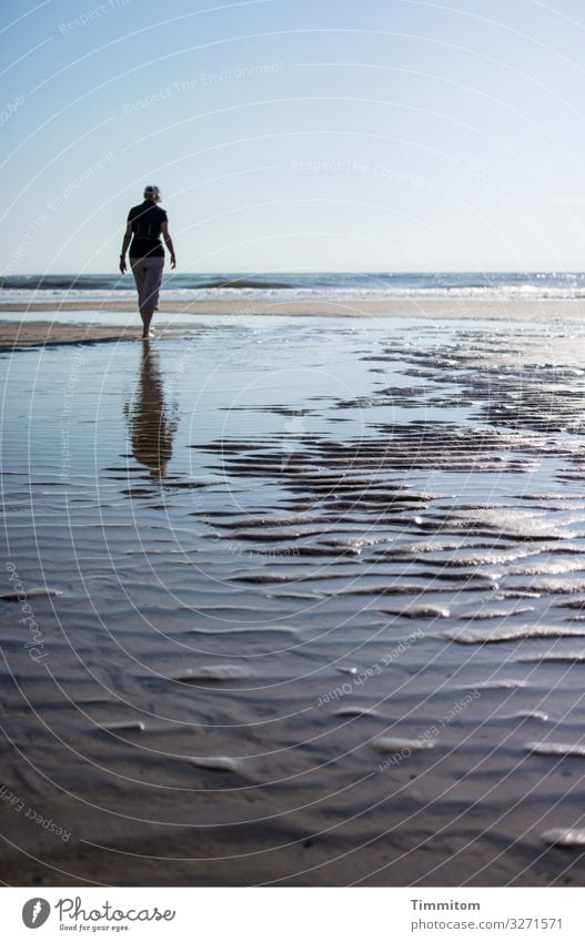 Woman on the North Sea beach. Lots of sky, water and sand. Memories. Ocean Beach Water Horizon Going Sky Walk on the beach Denmark Vacation & Travel Sand Blue