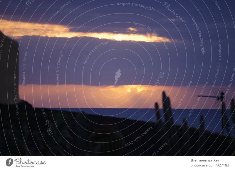 overcast Clouds Night sky Horizon Sunrise Sunset Summer Plant Cactus Canaries Lanzarote Deserted Wall (barrier) Wall (building) Facade Garden Antenna Point Blue