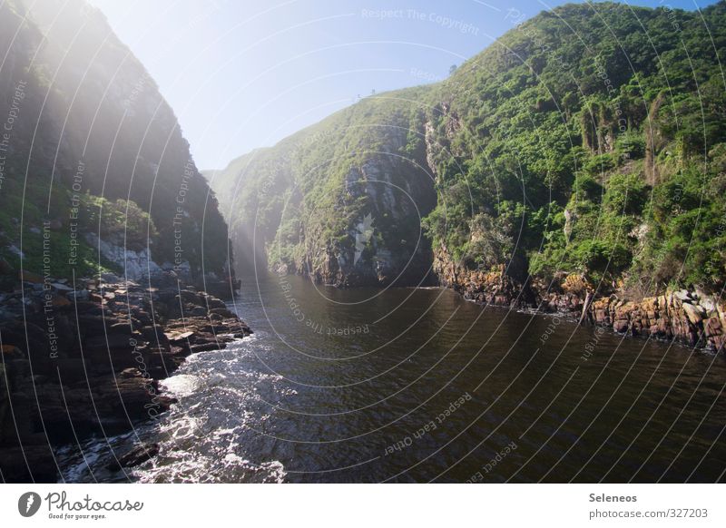 Rivers Mouth Vacation & Travel Tourism Trip Adventure Summer Summer vacation Sun Environment Nature Landscape Water Sky Cloudless sky Plant Tree Bushes Rock