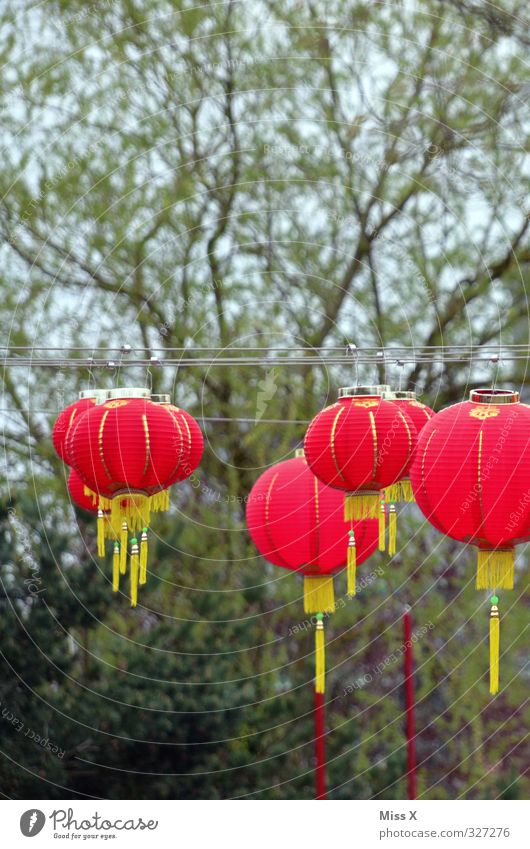 Chinese Garden Decoration Party Going out Feasts & Celebrations Illuminate China Restaurant Chinese New Year Lampion Paper chain Colour photo Multicoloured