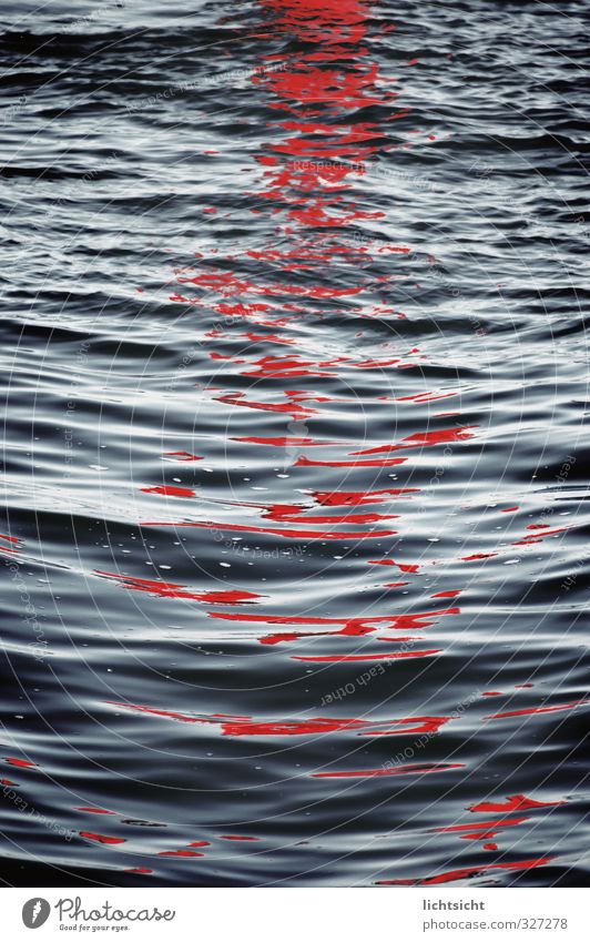 bloodbath Elements Water Sunrise Sunset Waves Coast North Sea Baltic Sea Ocean Blue Red Environmental pollution Undulation Wavy line Reflection