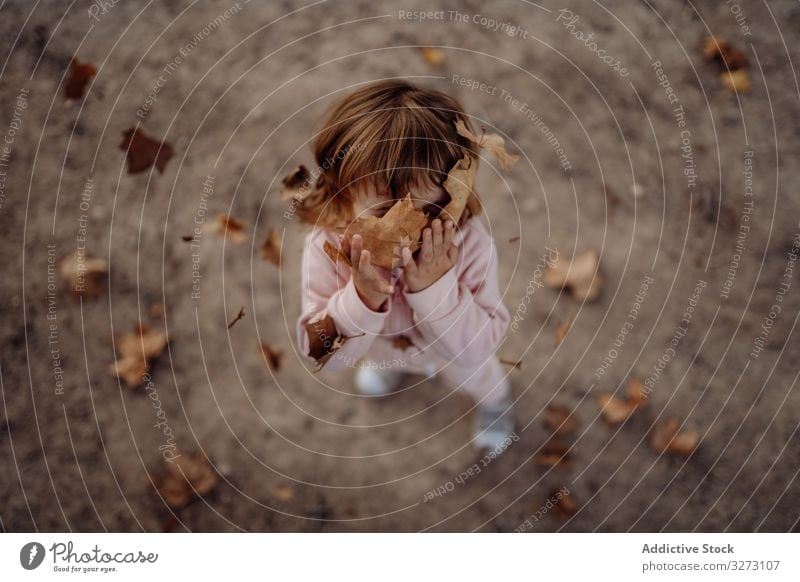 Joyful child scattering leaves on lawn in park kid throwing up autumn childhood joyful enjoying fun cheerful nature fall playing foliage motion excitement