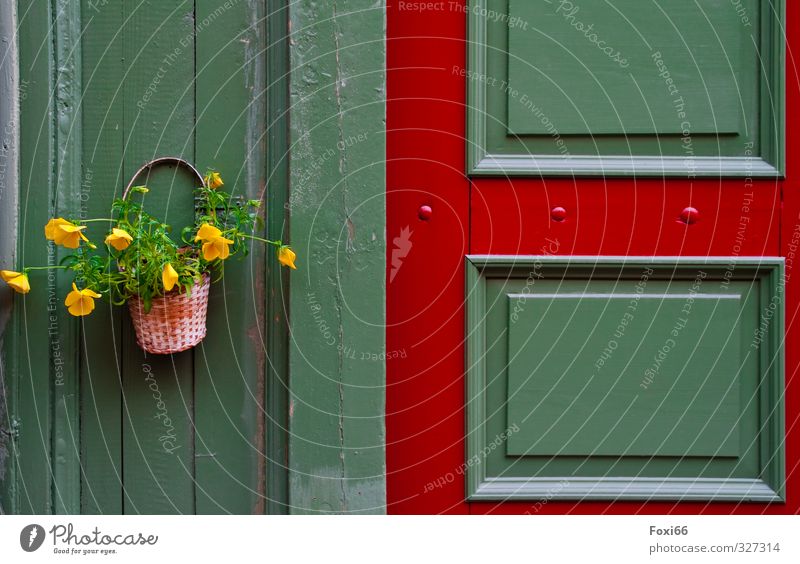 floral greeting Decoration Flower Flower arrangement Basket Village Deserted Hut Facade Door Wooden door Bouquet Plastic Sign Old Esthetic Glittering New