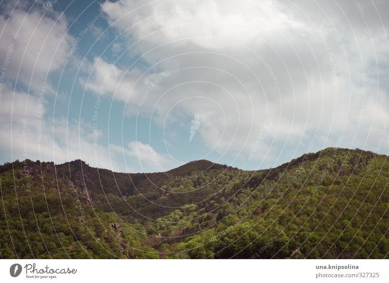 hilly Environment Nature Landscape Sky Clouds Forest Hill Austria Natural Idyll Colour photo Subdued colour Deserted Copy Space top Copy Space bottom