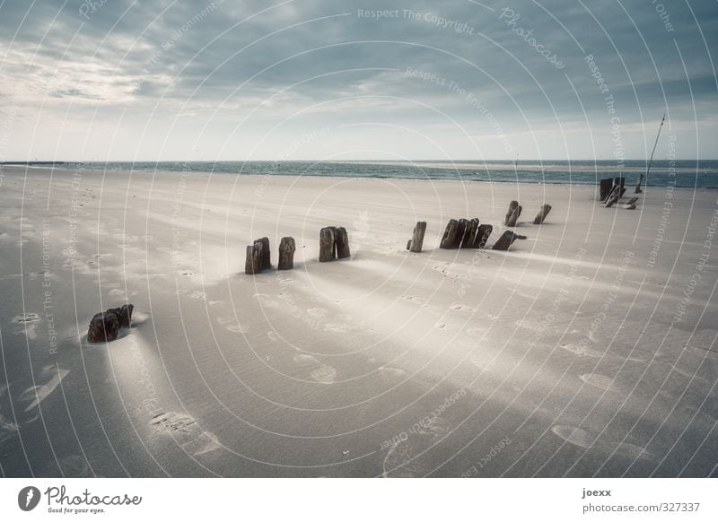 headwind Landscape Earth Sand Sky Clouds Horizon Bad weather Wind Gale Coast Beach North Sea Island Amrum Blue Brown Black Cold Stagnating Environment