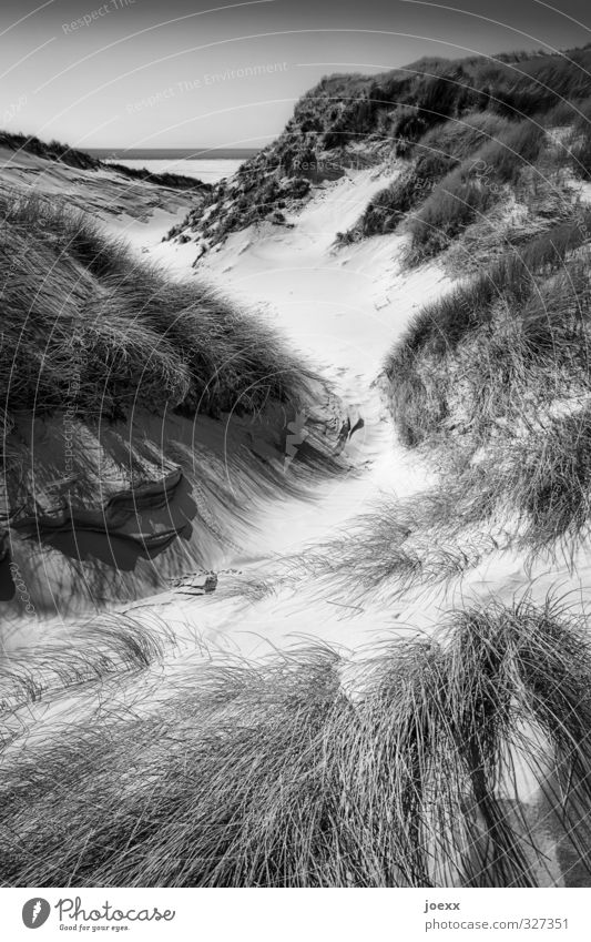 From eternity to eternity Nature Landscape Sky Horizon Beautiful weather Marram grass Coast North Sea Island Amrum Bright Gray Black White Idyll Lanes & trails