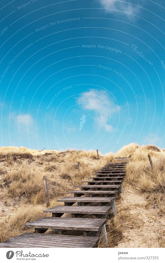 step by step Vacation & Travel Far-off places Freedom Summer Summer vacation Beach Nature Landscape Sky Clouds Beautiful weather Grass Hill Island Amrum Dune