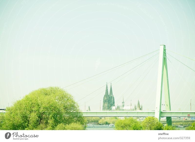 Helau! Tree Cologne Dome Bridge Tourist Attraction Landmark Cologne Cathedral Esthetic Severins bridge Rheinau docks Colour photo Panorama (View)