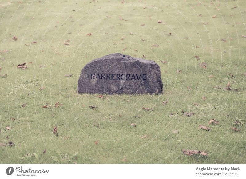 The knackers gravestone Stone Old Tombstone field heritage Colour photo