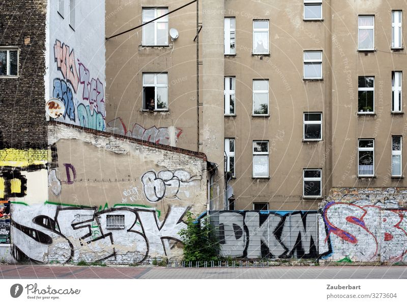 façade Berlin Town House (Residential Structure) Building Prefab construction Facade Window Backyard Looking Living or residing Authentic Cheap Broken Original