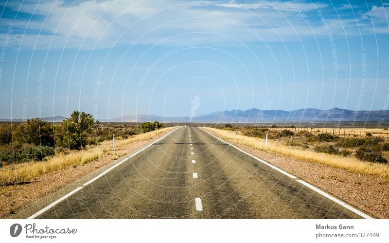 Straight road Landscape Sky Horizon Summer Beautiful weather Transport Traffic infrastructure Street Driving Blue Brown Gray Orange Adventure Freedom Wanderlust