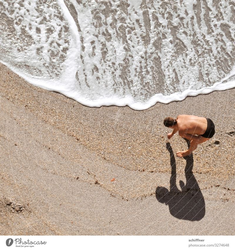 Man collects shells on the beach Beach Waves Swell search questing bent over stooped posture Shadow shadow cast amass collecting hunters and collectors Ocean