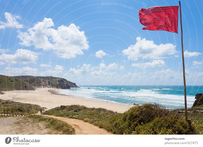 surfer's paradise Portugal Algarve Praia do Amado Surfer Surfing amado rock salt Flag Wind Vacation & Travel Travel photography Idyll Card Tourism Heavenly