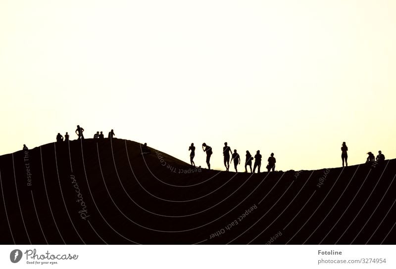 Party on the dune Human being Masculine Feminine Life Group Environment Nature Landscape Summer Beautiful weather Warmth Desert Bright Black White Dune