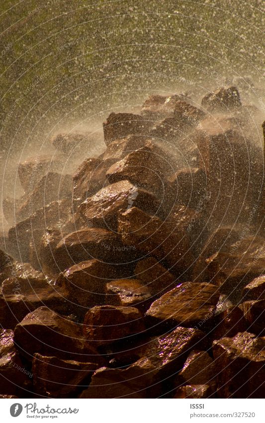 Geysir Andernach Nature Elements Water Drops of water Rock Esthetic Force of nature Colour photo Subdued colour Exterior shot Close-up Deserted Day Reflection