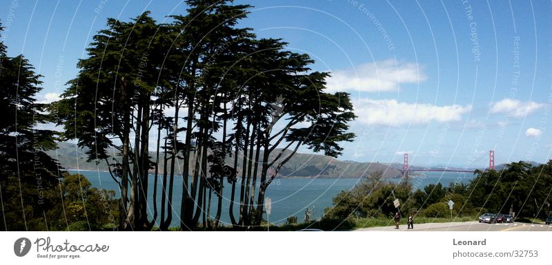 Golden Gate 1 Tree Clouds San Francisco Americas Panorama (View) Human being Sky Bridge Bay USA Large Golden Gate Bridge San Francisco bay Vantage point