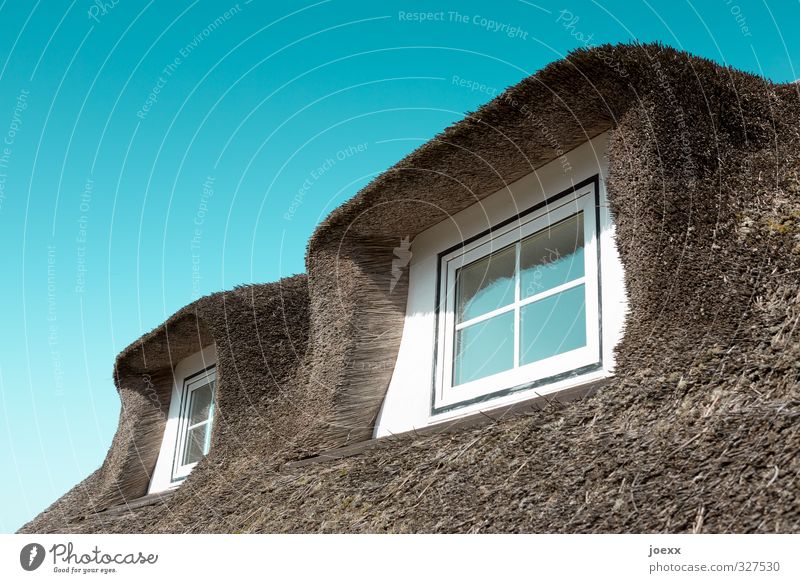 New old view Deserted House (Residential Structure) Window Roof Dormer Old Blue Brown White Reet roof View from a window Colour photo Exterior shot Day