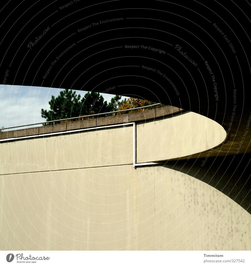 Contrasts. Sky Tree Manmade structures Wall (barrier) Wall (building) Concrete Esthetic Firm Black Shadow Spirited Curve Line Highway ramp (entrance)