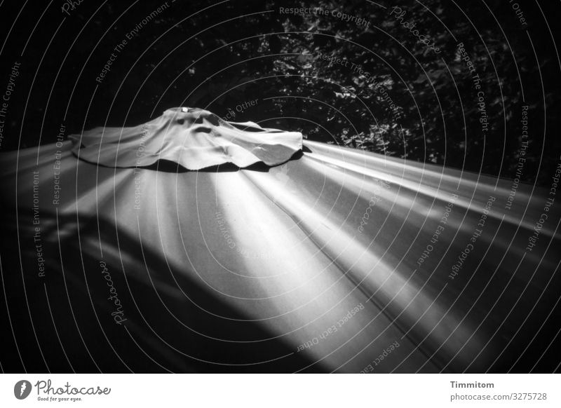 Parasol, gloomy Sunshade somber Light Shadow Black & white photo light and dark background shrubby Sunlight Dark Deserted