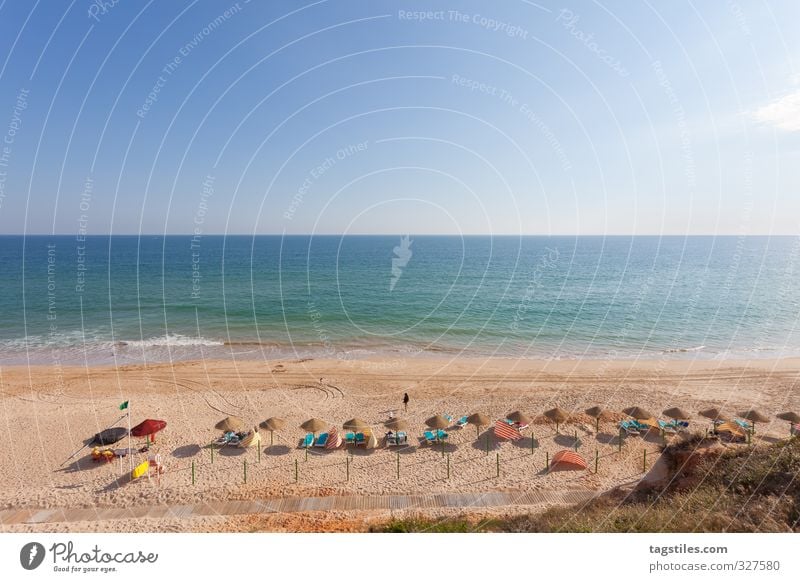 PRAIA DA FALESIA Portugal Algarve Praia da Falesia Sunshade sandalgarve Vacation & Travel Travel photography Idyll Card Tourism Heavenly Paradisical Beach Ocean