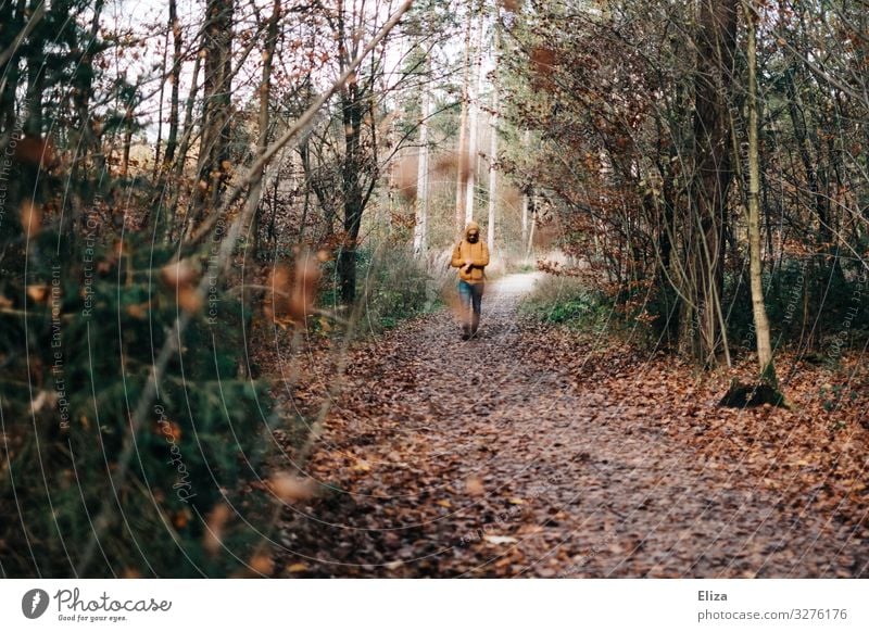 A man walks along an autumnal forest path Forest stroll To go for a walk Man Autumn Nature Hiking Landscape Lanes & trails Trip Relaxation trees Autumnal