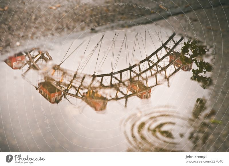 water wheel Bad weather Puddle Vienna Austria Capital city Manmade structures Tourist Attraction Landmark Ferris wheel Prater Rotate Historic Wet Brown Red