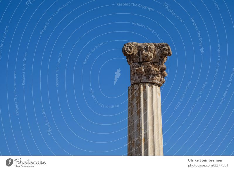 Romanesque column in the ruins of Tharros, Sardinia Column Dorian excavation Masonry Old times History of the Historic Archeology Temple Temple complex Carthage