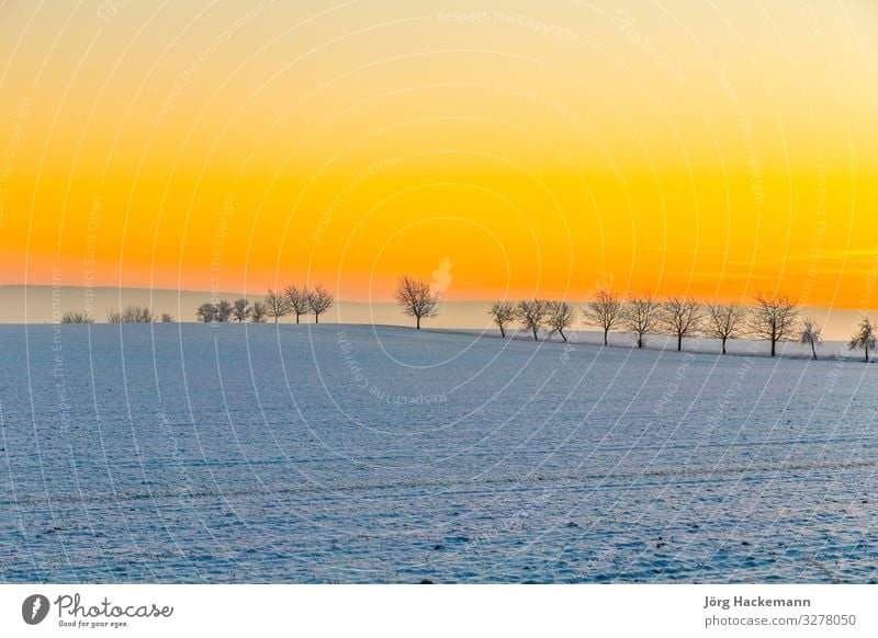 winter landscape with tree alley in sunset Harmonious Winter Snow Landscape Sky Horizon Weather Tree Soft Blue White Emotions Loneliness Bad Frankenhausen Cold