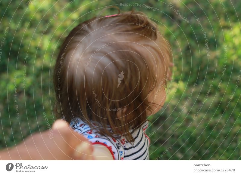 Toddler takes the first steps at the hand of the mother. Trust, Baby Head Hair and hairstyles 1 - 3 years Summer Garden Meadow Blossoming Discover Going Stride