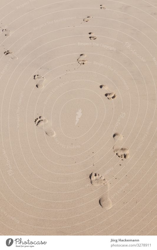 human footsteps at the sandy beach Joy Leisure and hobbies Vacation & Travel Freedom Summer Beach Ocean Human being Man Adults Feet Nature Sand Coast