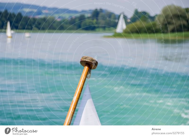 Sails set and weather is fine Lake Blue White White-blue Beautiful weather Sky Driving Airstream Movement Maritime Bright Wood Sailing ship Calm Sailboat