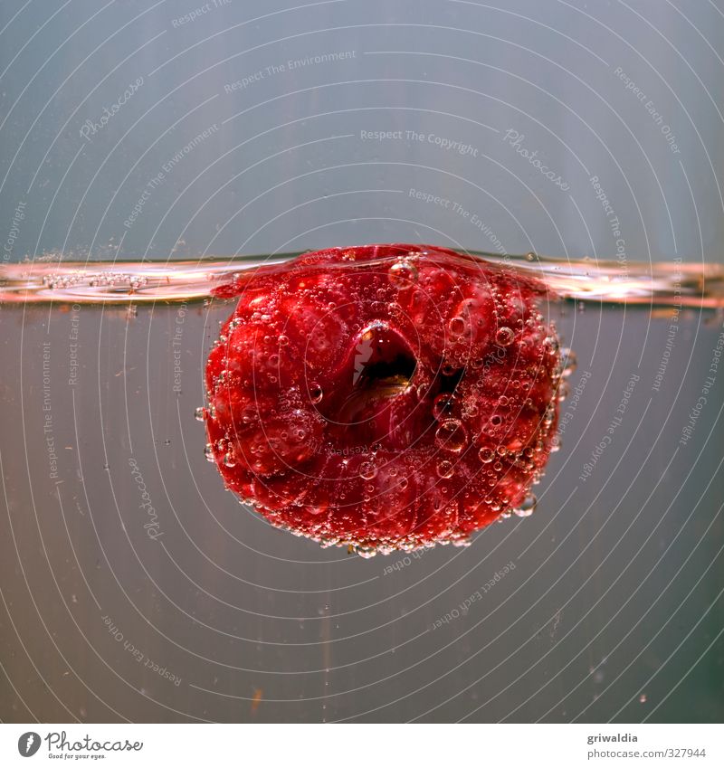 raspberry Food Fruit Glass Plant Berries Berry seed head Edible Summer Rose plants Red Sense of taste Water Fragrance Healthy Juicy Sweet Soft Blue Gray Pink