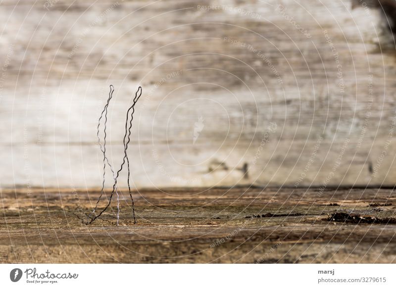 Shall we walk a few steps? | Wire figures Life Harmonious Couple 2 Human being Wiry Scrap lumber Wood Thin Simple Together Brown Loyal Secrecy Sympathy