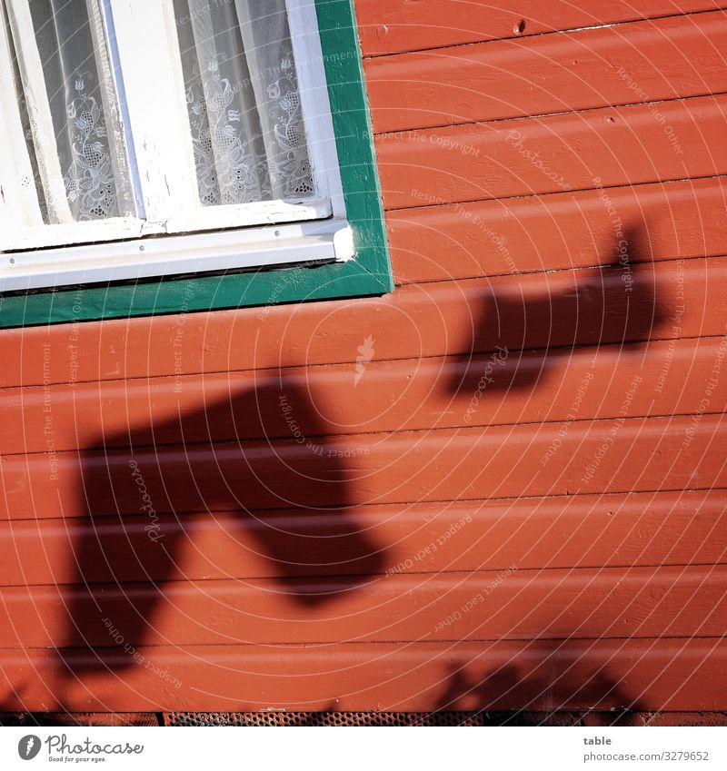 Shadows of laundry on a leash in the summer sun... Sunlight Summer Light Exterior shot Deserted Day Contrast Long shot Silhouette Structures and shapes Window