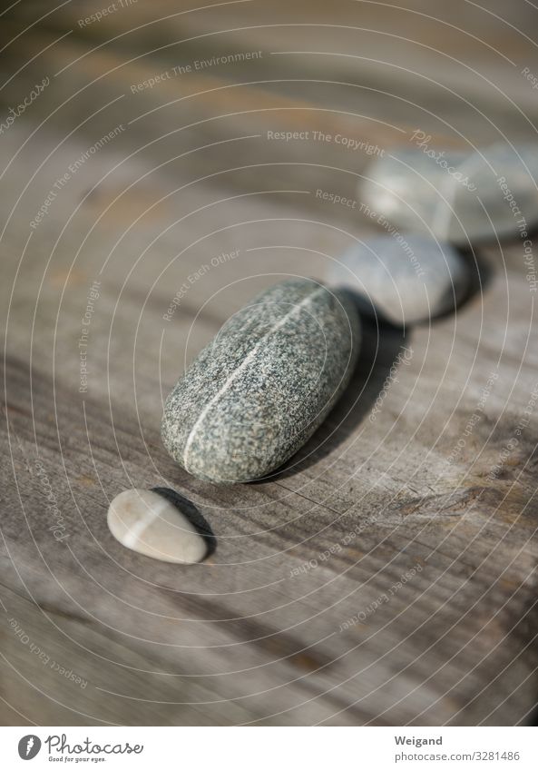 pebble Wellness Harmonious Environment Nature Stone Round Gray Passion Acceptance Trust Safety Attentive Pebble Meditation Spirituality Colour photo