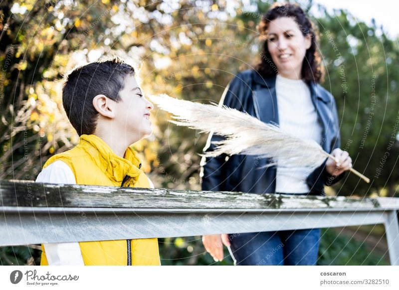 Mother and son playing and laughing outdoors Lifestyle Joy Happy Beautiful Well-being Relaxation Leisure and hobbies Playing Vacation & Travel Sun Garden