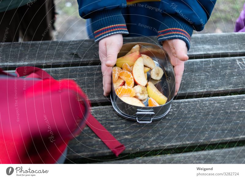 picnic Food Fruit Eating Picnic Tin Hiking Break Delicious Healthy Eating Colour photo Exterior shot