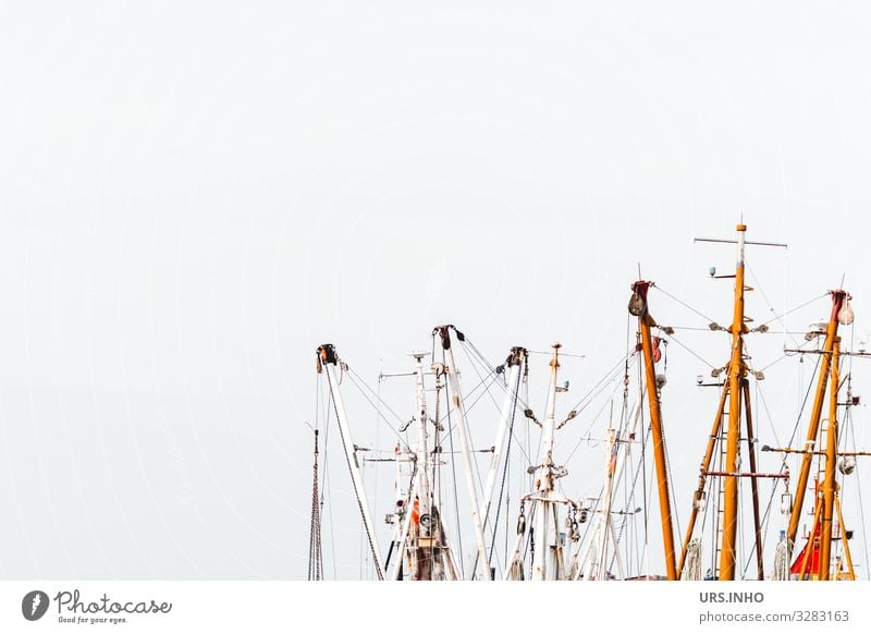 Ship masts in front of a bright background Sailing Sailboat Maritime Brown Gray White Vacation & Travel Pole Mast Tree Colour photo Exterior shot Deserted