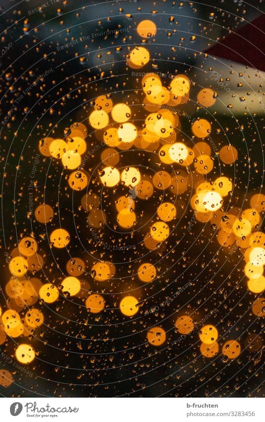 Christmas tree in the rain Night life Event Feasts & Celebrations Christmas & Advent Tree Sign Observe Illuminate Looking Glittering Happy Gold Drops of water