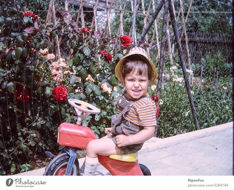 Guns N' Roses Human being Masculine Toddler Boy (child) 1 - 3 years pink Tricycle Observe smile Looking Playing Joy luck Happiness Contentment Adventure