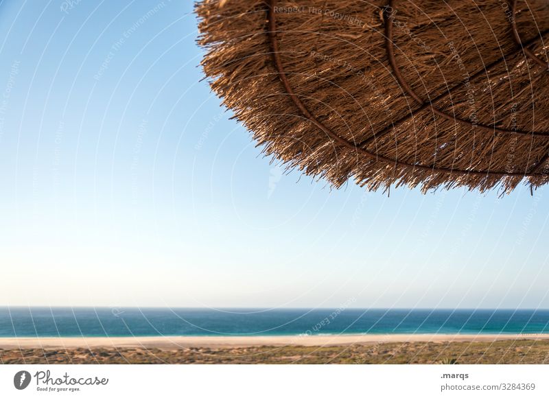 Sunshade on the beach Straw seaboard Holiday season Summertime Ocean Tourism Nature Beach Vacation & Travel Horizon Relaxation