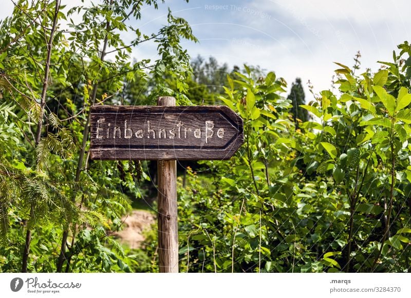 one-way street One-way street Signage Wooden sign Nature Landscape Arrow Direction Road marking Right Orientation Lanes & trails