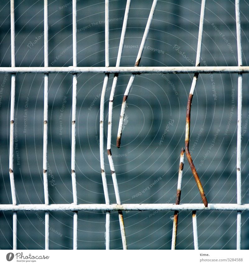 Stories from the fence (63) Wall (barrier) Wall (building) Fence Grating Metal Rust Line Sharp-edged Hideous Broken Rebellious Point Thorny Trashy Town Fatigue